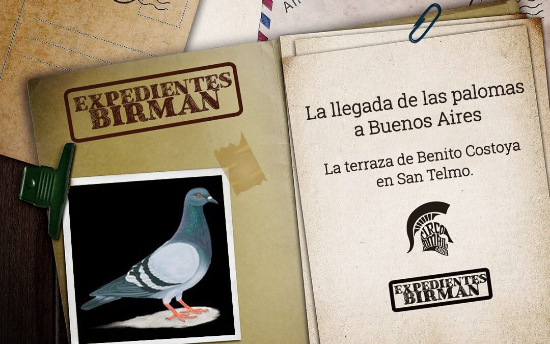 Expedientes Birman | Cómo llegaron las palomas a Buenos Aires